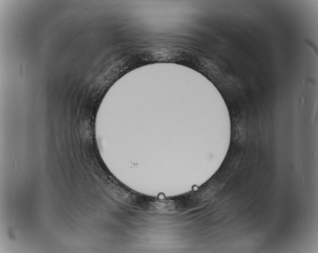 X0000101670317200807241446