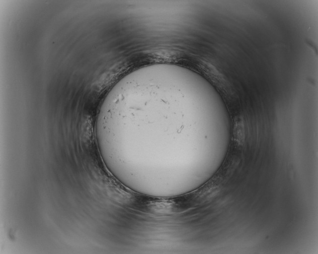 X0000101670318200807241446