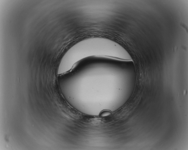 X0000101670320200807241446