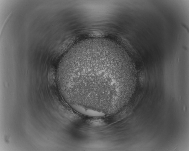 X0000101670322200807241446