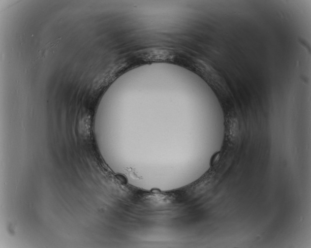 X0000101670326200807241446