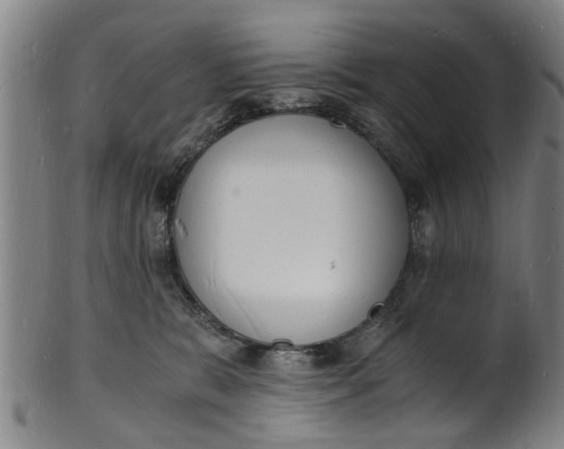 X0000101670327200807241446