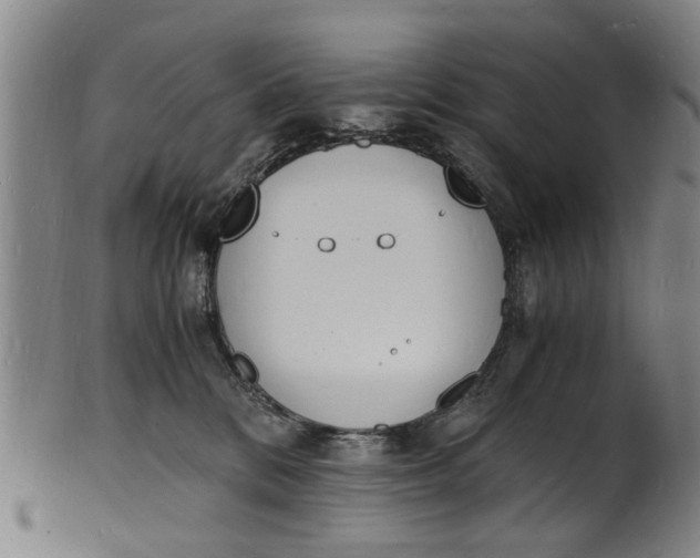 X0000101670328200807241446