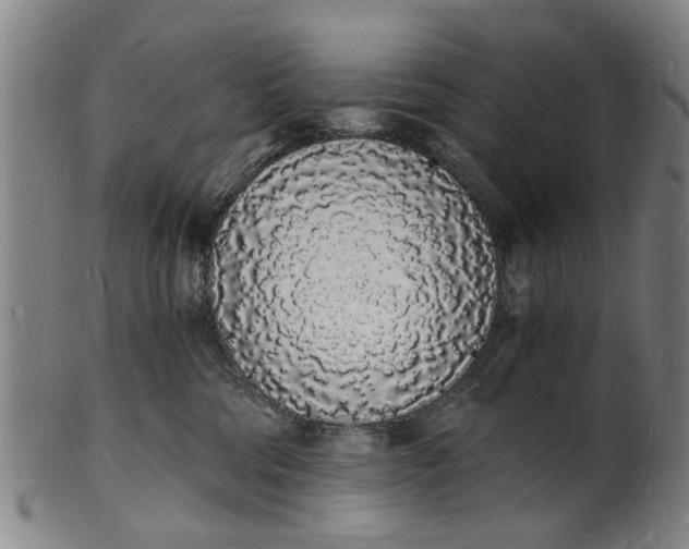X0000101670330200807241446