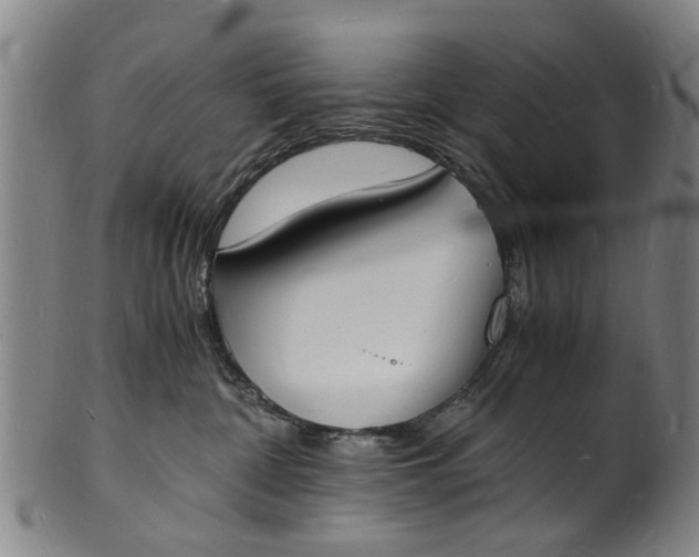 X0000101670332200807241446