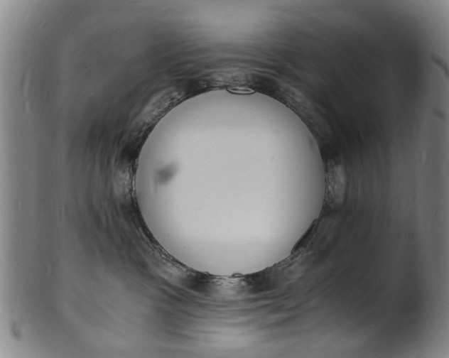 X0000101670333200807241446