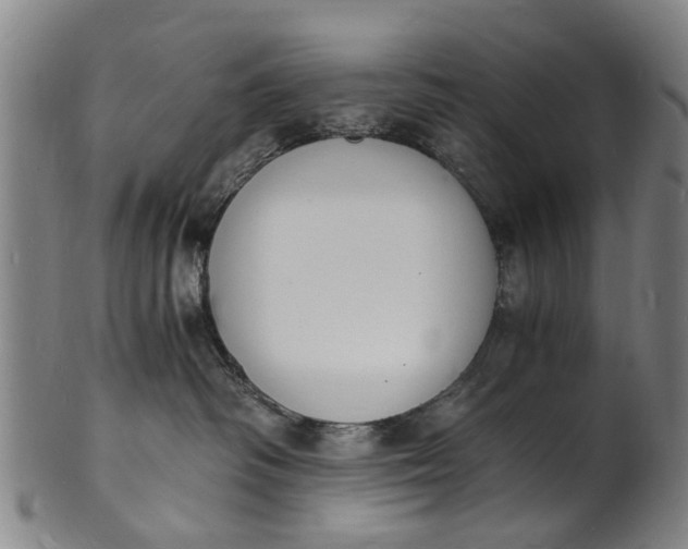 X0000101670334200807241446