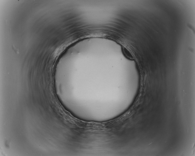 X0000101670337200807241445