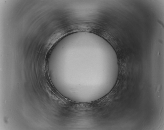X0000101670338200807241445