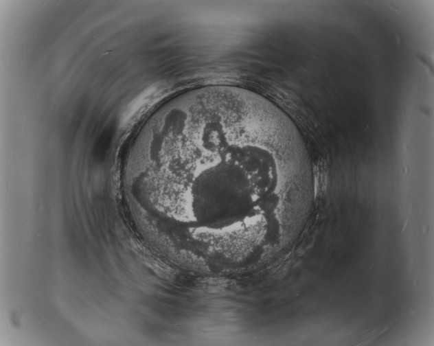 X0000101670339200807241445
