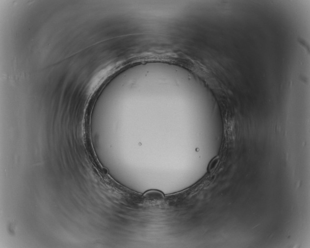 X0000101670340200807241445