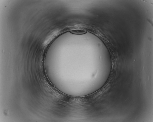 X0000101670341200807241445