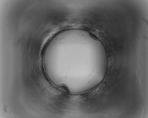 X0000101670342200807241445