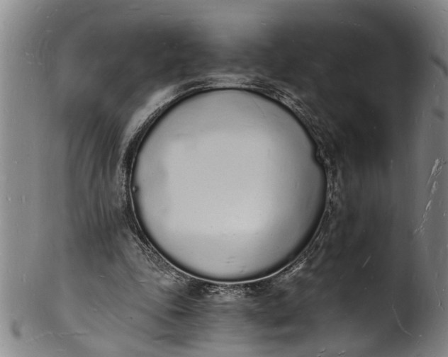 X0000101670343200807241445