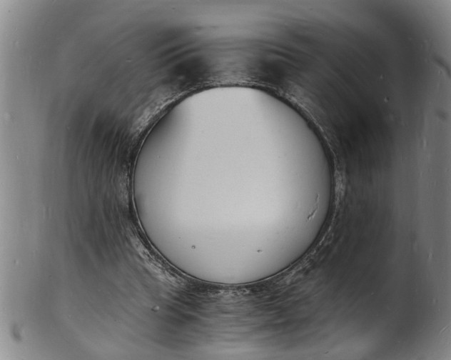 X0000101670345200807241445