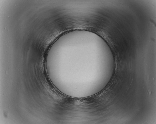 X0000101670346200807241445