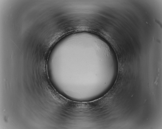 X0000101670347200807241445