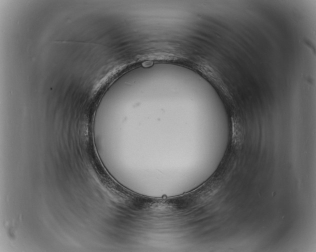X0000101670348200807241445