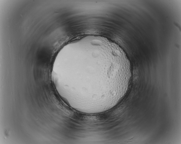 X0000101670349200807241445