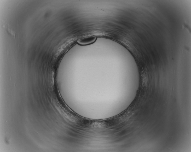 X0000101670350200807241445
