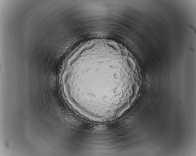 X0000101670355200807241446