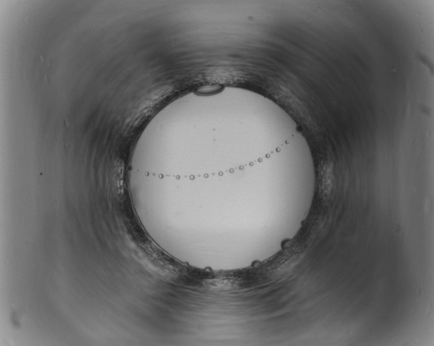 X0000101670356200807241446