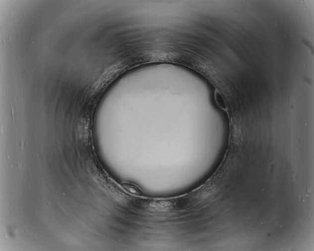 X0000101670357200807241446