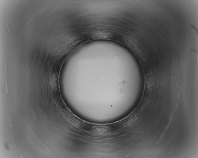 X0000101670359200807241446