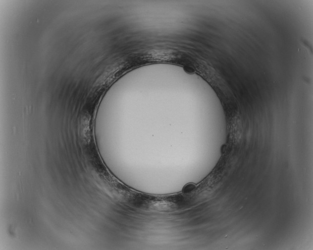 X0000101670360200807241446