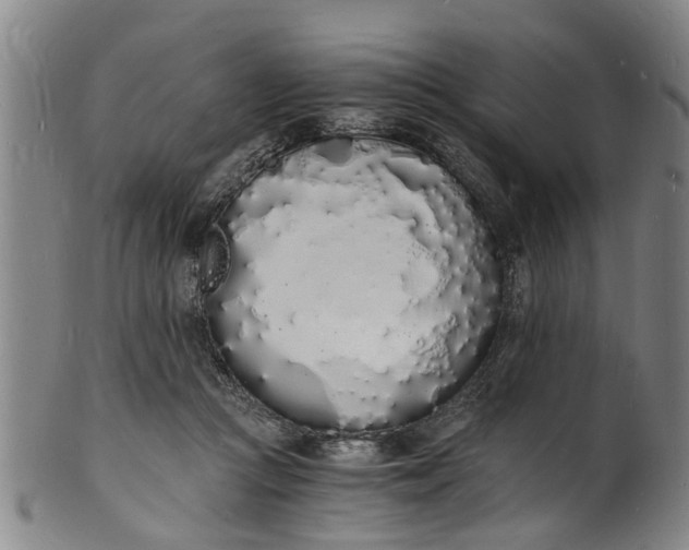X0000101670361200807241446