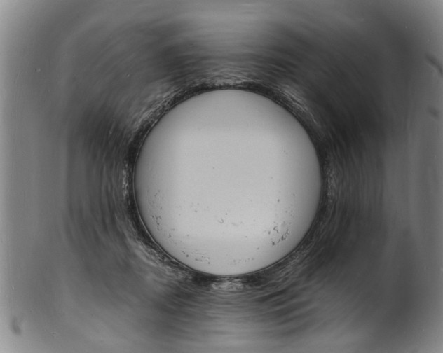 X0000101670362200807241446