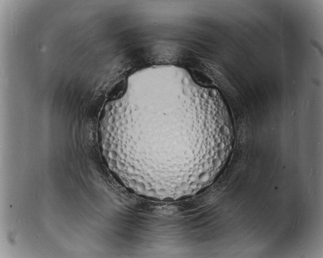X0000101670363200807241446