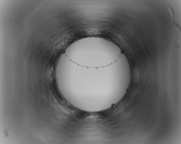 X0000101670364200807241446