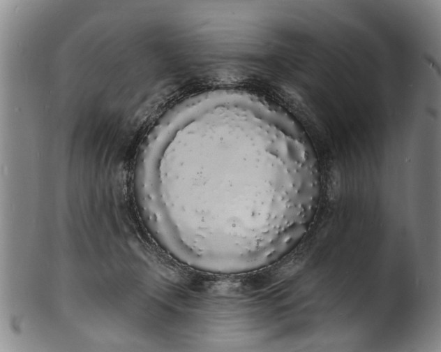 X0000101670366200807241446