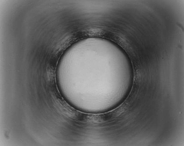 X0000101670367200807241446