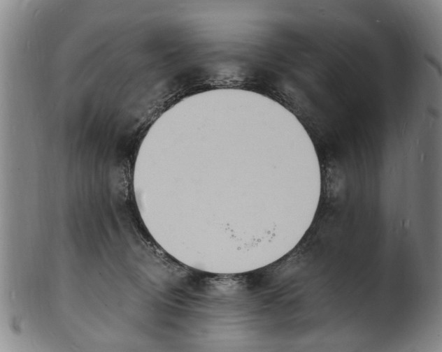 X0000101670370200807241446