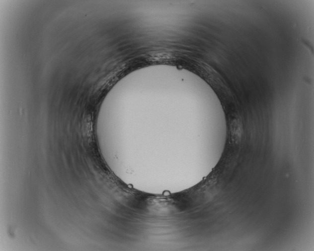 X0000101670372200807241446