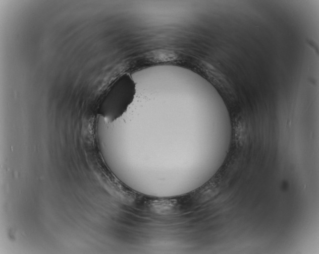 X0000101670373200807241446