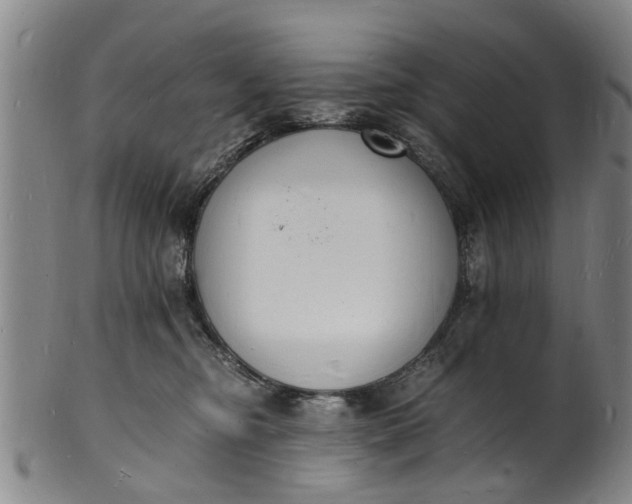 X0000101670374200807241446