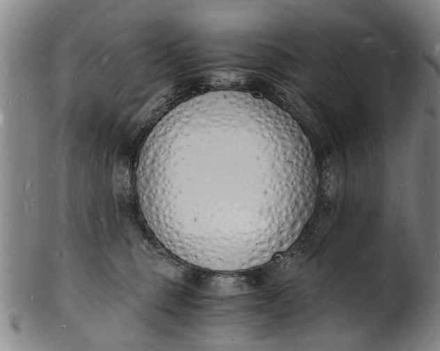 X0000101670375200807241446