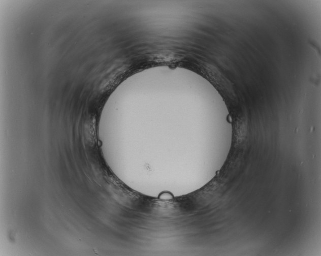 X0000101670376200807241446