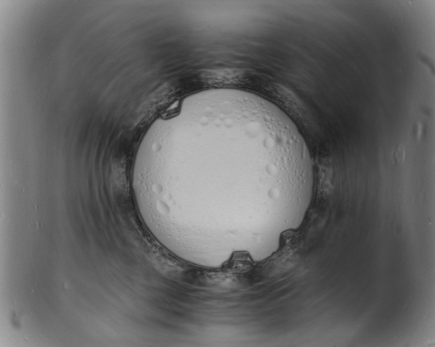X0000101670377200807241446