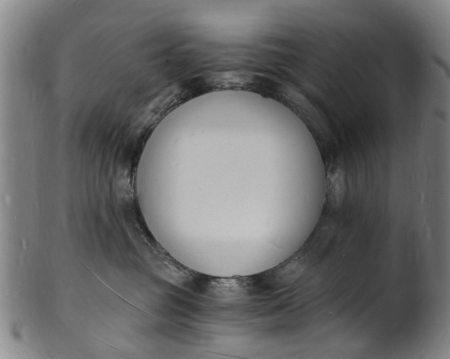 X0000101670381200807241446