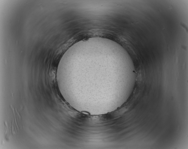 X0000101670382200807241446