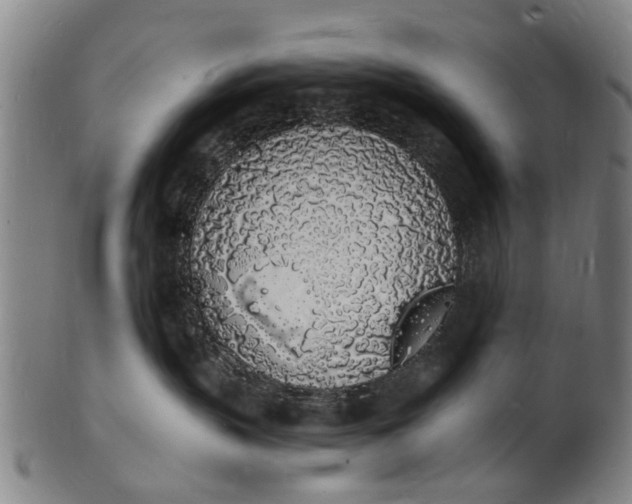 X0000101670383200807241446