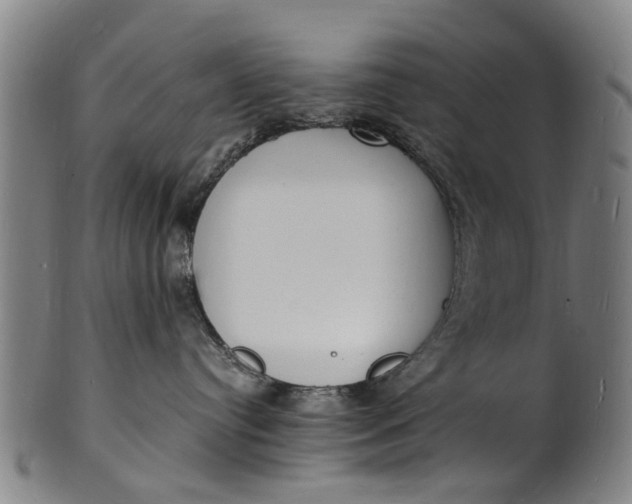 X0000101670384200807241446