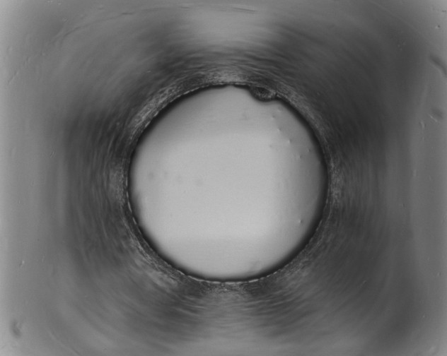 X0000101670386200807241445