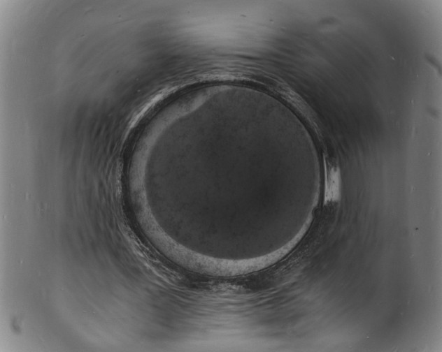 X0000101670387200807241445