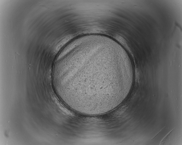 X0000101670389200807241445