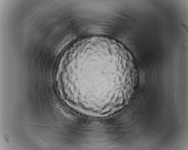 X0000101670390200807241445